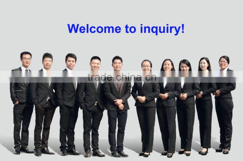 Single Phase SVC LED Automatic Voltage Stabilizer