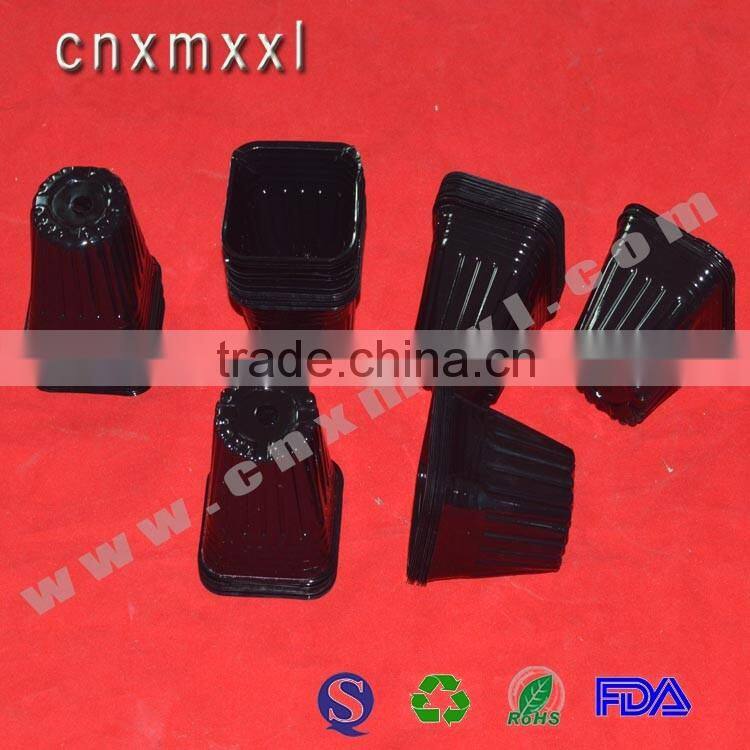 PP plastic clear flower pots & round plastic flower pot rose flower