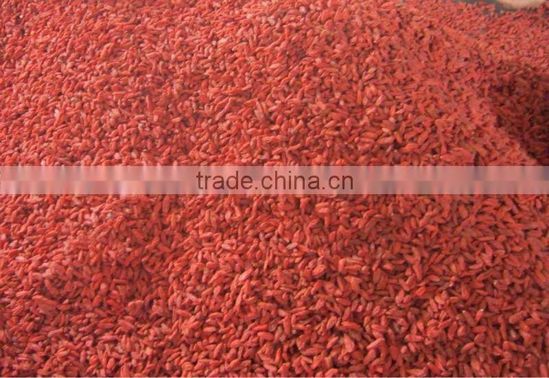 good quality chinese medlar