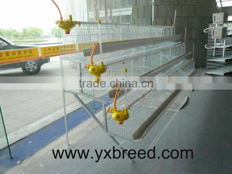 chicken cage,automatic poultry equipment,chicken layer cage