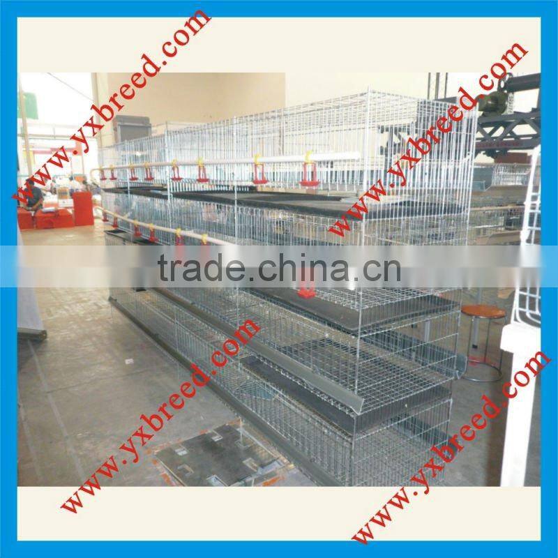 design layer chicken cages for chicken farm