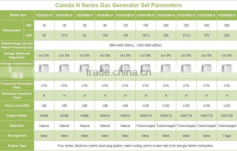 CE approved biogas generator/biogas power plant/biomass generator/chp
