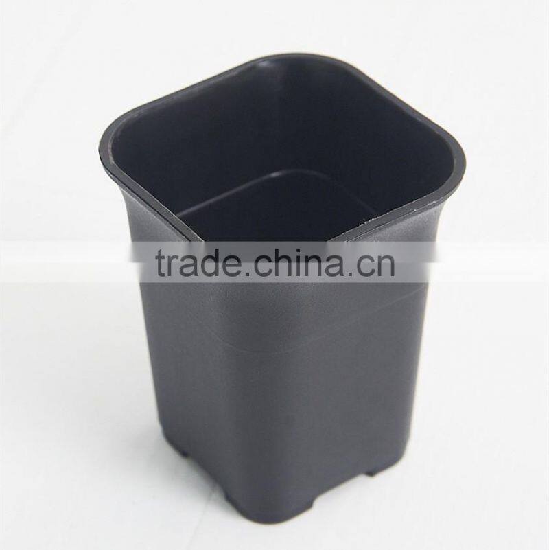 Square small black square succulent plants plastic flowerpot seeding pot