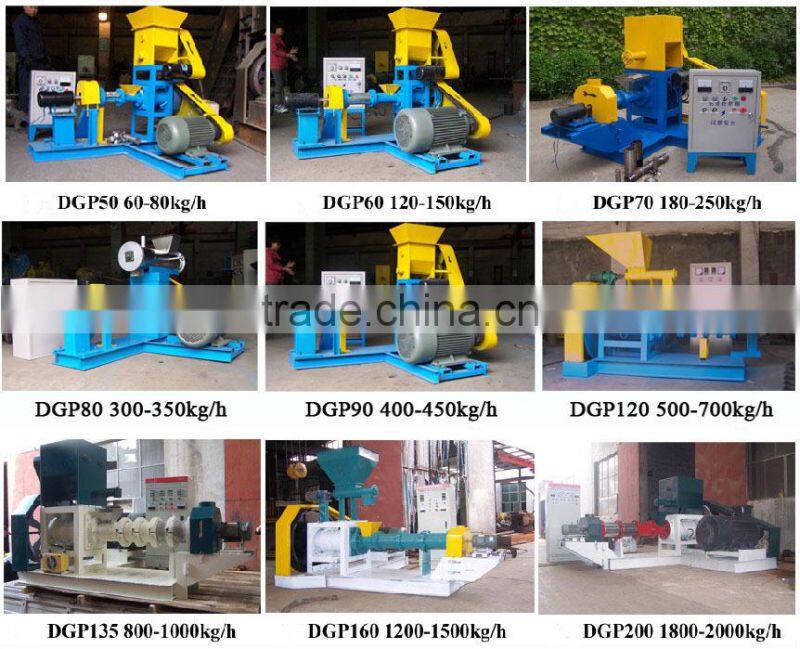 China top quality factory price tropical fish bottom feeders