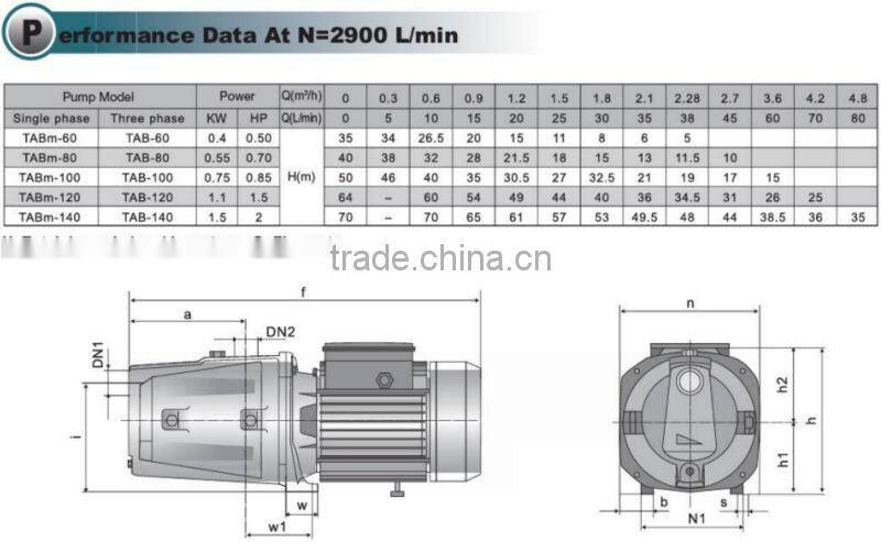 Self priming JET Pumps TABm 100