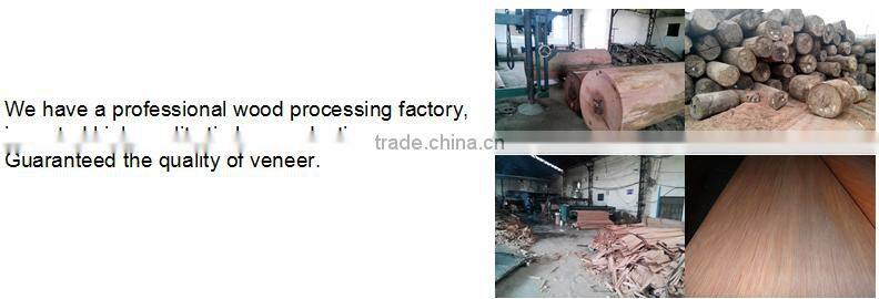 linyi Factory Rotary Cut grade a b c 0.30mm 4'x8' bintangor face Veneer