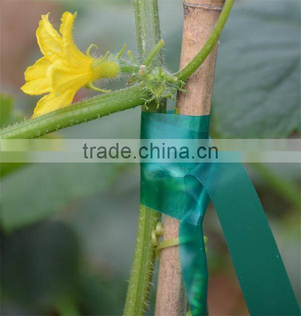 Fresh PVC Material Plastic Garden Tape