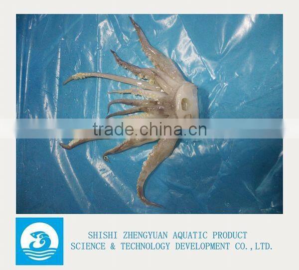 Frozen Argentina Illex squid Tentacles