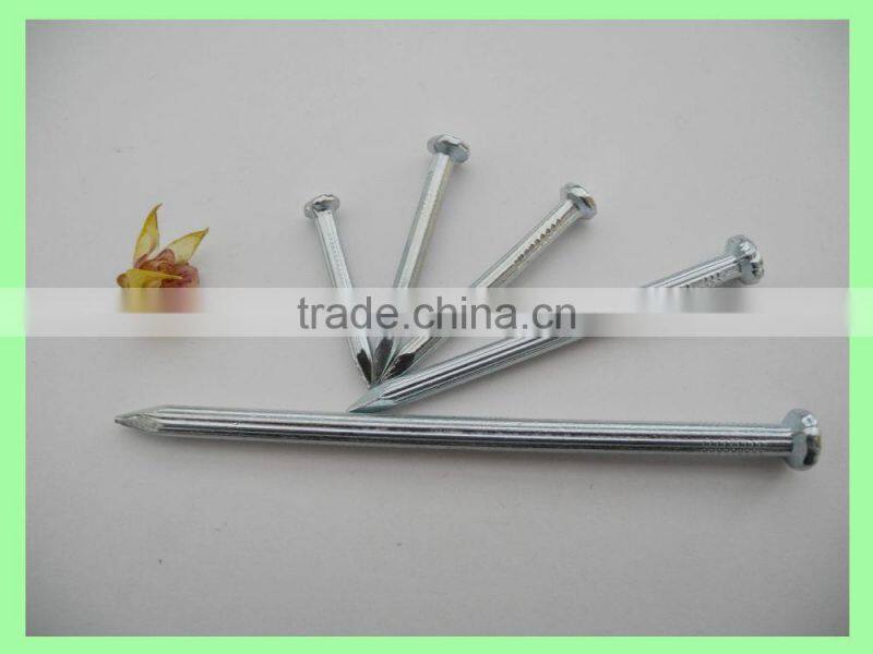 Steel Concrete Nails/Steel Nails China(factory and manufacturer)/linyi nails