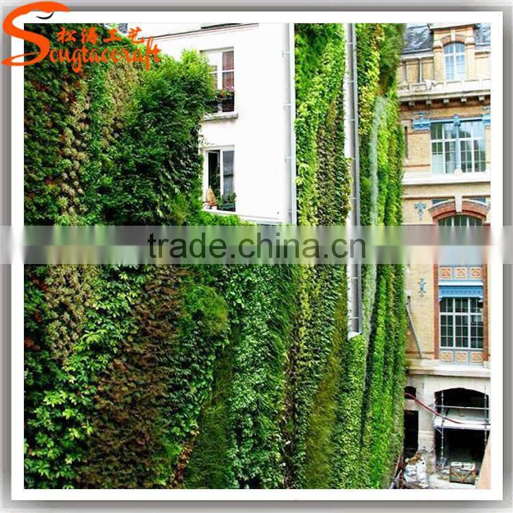 High simulation all kinds grass fake grass home decoration artificial grass wall