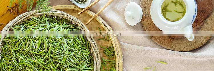 Long Leaf Factory Chinese Organic Green Tea Wholesale