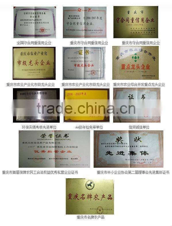 Bleached White Pig Hair Bristles for artist brush Bristle Making