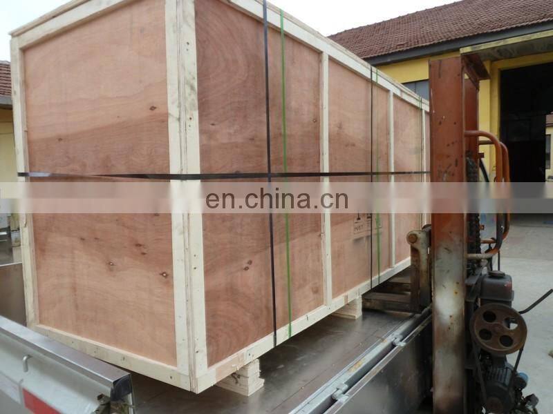 Surfing type vegetable washing machine| stainless steel fruit and vegetable washing machine with CE