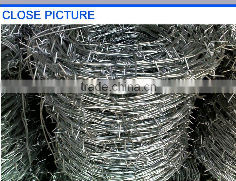 electro galvanzied barbed wire