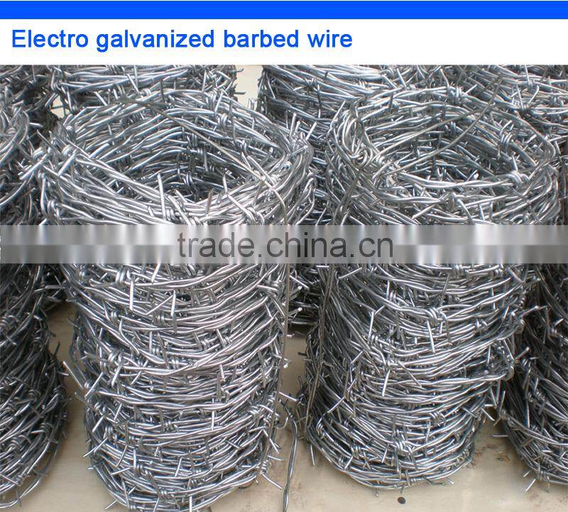 electro galvanzied barbed wire