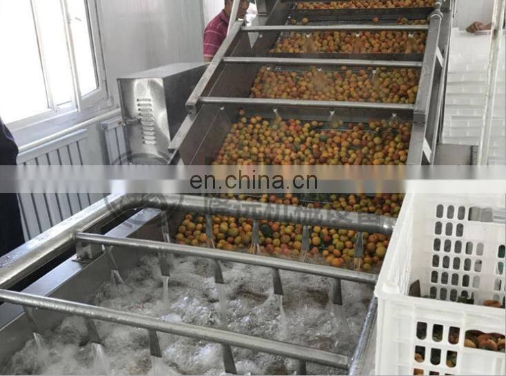 Best Price Fresh Fruit Mango Apple Cleaning Machine Air Bubble Vegetable Washing Machine