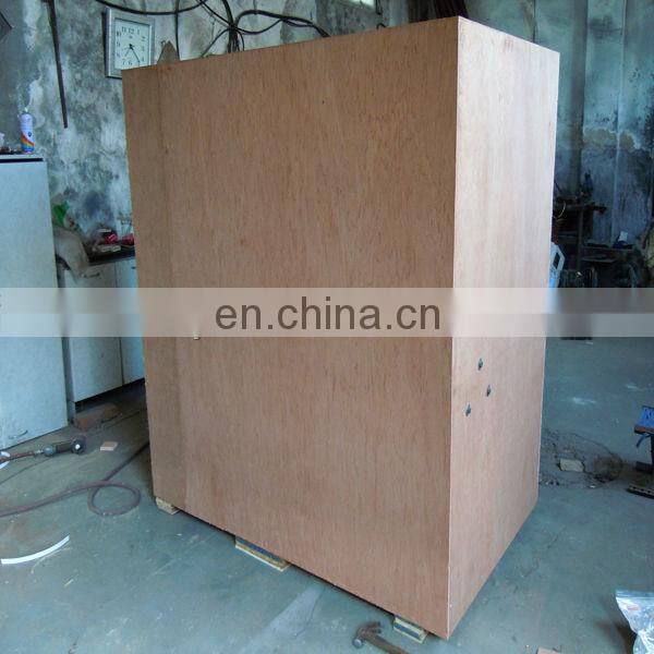 Multifunction small biomass gasifier