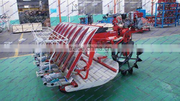 Popular in Asia automatic tray seed machine made in China