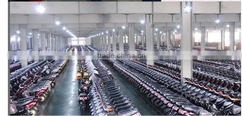 hot sales popular design 350W 48V 12AH 2 wheel electric bicycle