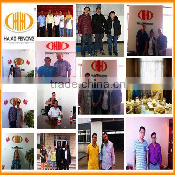 Prefabricated shock price metal garden fencing