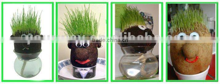 Real grass doll,Grass head