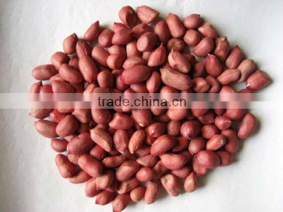 shandong peanut