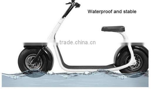 800w citycoco/seev/woqu 2 wheel self balancing handicap electric scooter