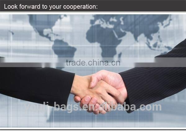 2014 women Lightweight Trolley Luggage sets