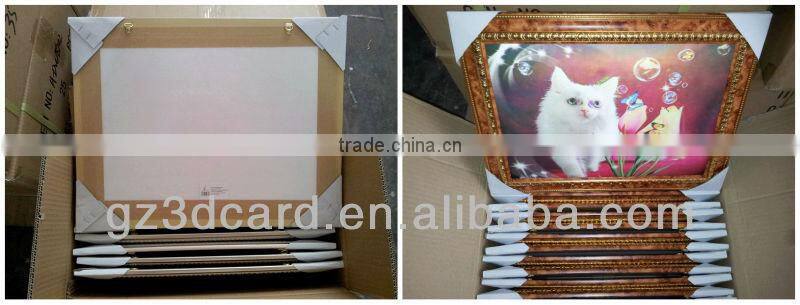 Custom lenticular 3D framed pictures