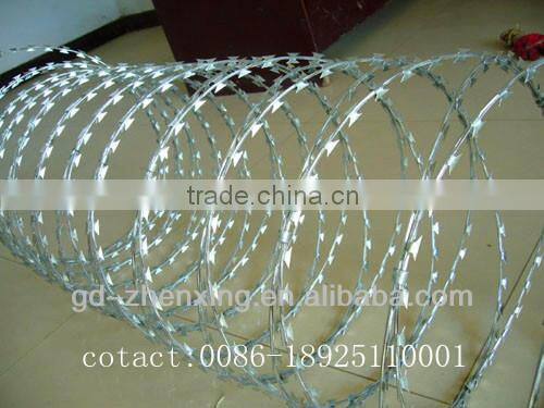 Class A Top Galvanized Razor Barbed Wire wholesales in Guangzhou factory