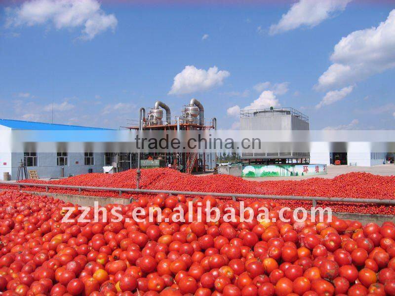 Caned Tomato Sauce In Plastic Bottle