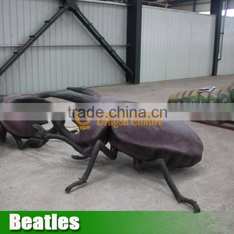 Insect Model Beatles for Sale
