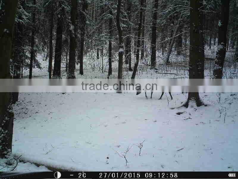 12MP 1080P HD Digital Video Camera For Wildlife Hunting Camera MMS GPRS Hunting Trail Camera 940NM