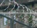 razor barbed wire(factory)