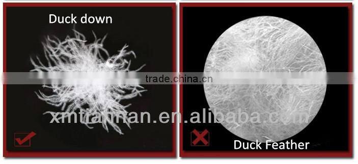 Women's Fashion Quilted Jacket