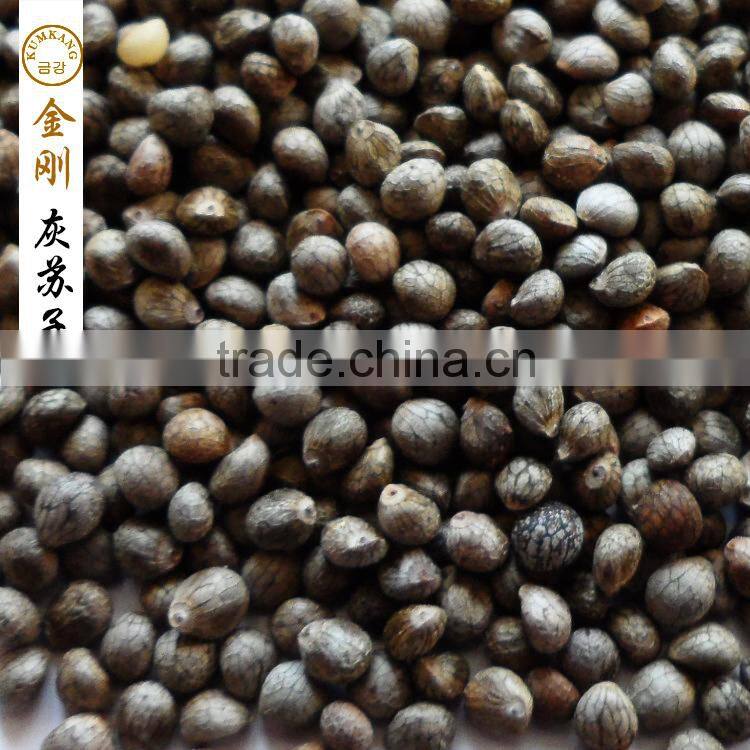 perilla seed for sale