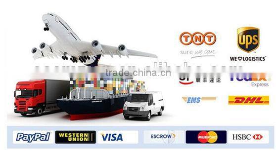 Salon Use Professional Hair Dryer Super Silent With AC Motor