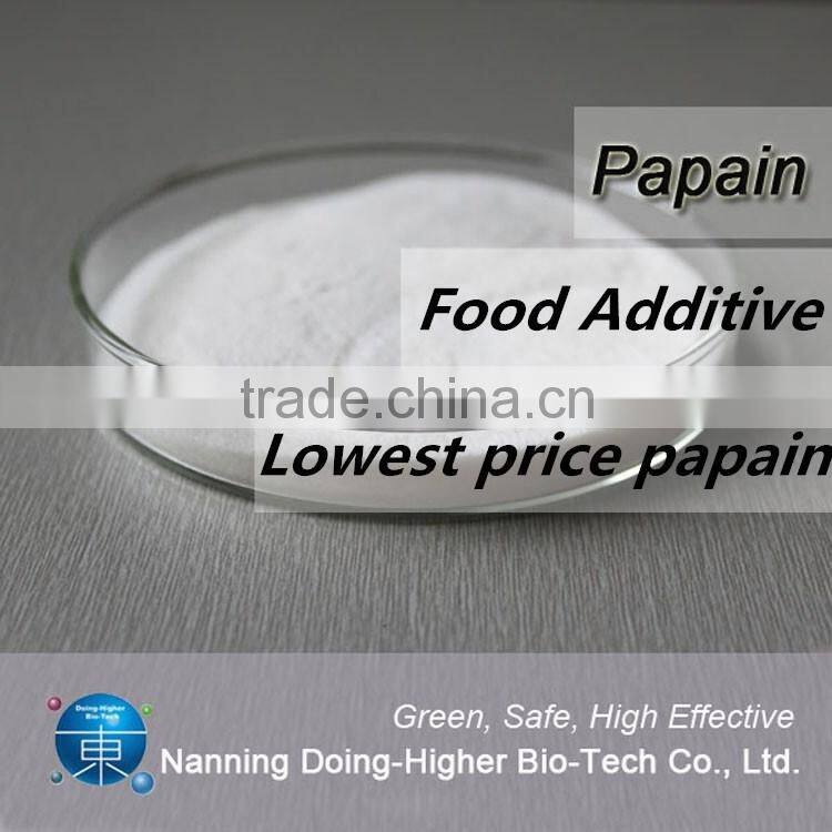 100% natural High quality papaya powder factory supply dry papaya powder