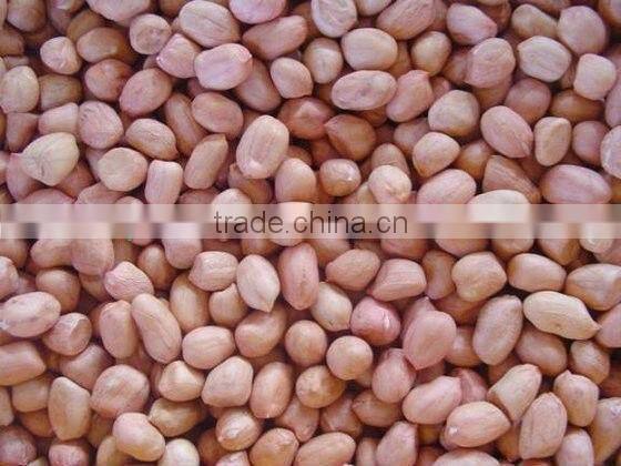 Red skin peanuts /organic peanut