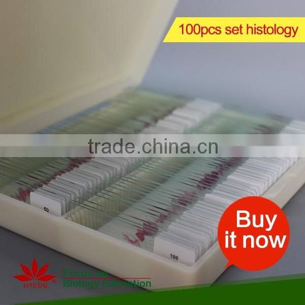 Microscope Prepared Slides ,Rock Slides, Rock Prepared Slides