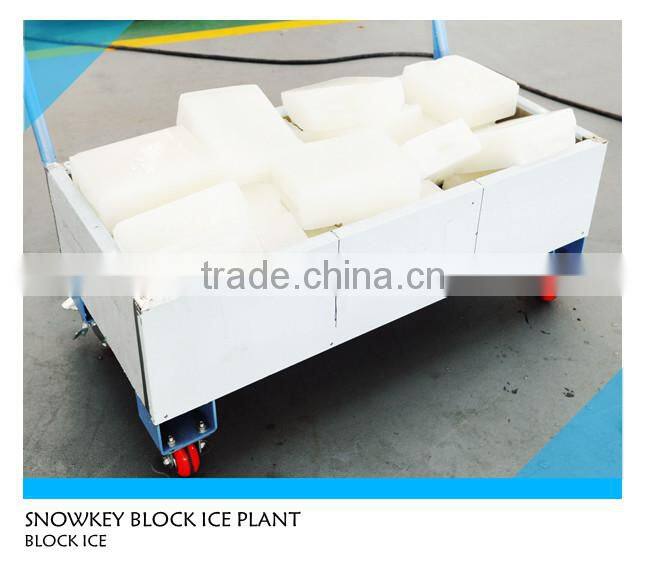 CHINA TOP1 2.5T Block Ice Machine Block Ice Maker for Africa