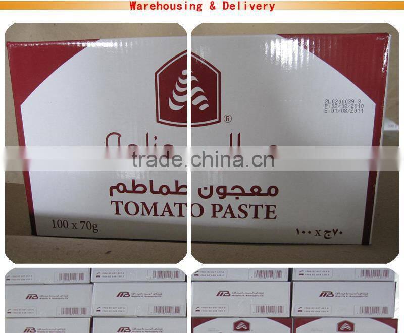 Low Price Wholesale tomato paste processing plant 70gX50tins