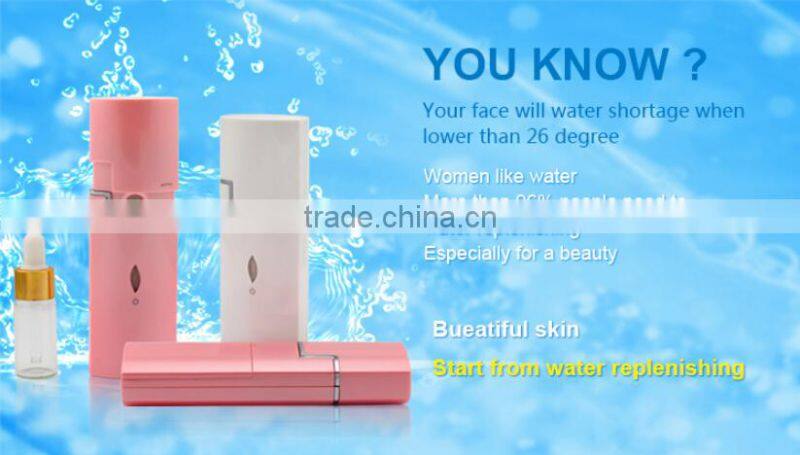 Portable Moisturizer Ozone Hair Steamer facial steamer for Home Use