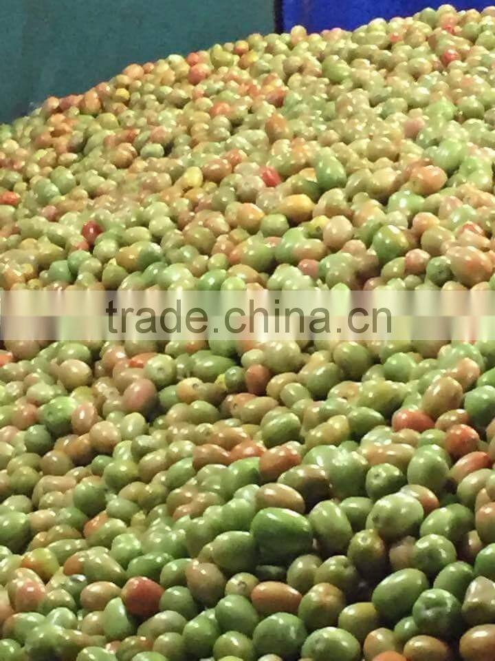 FRESH TOMATOES cheap