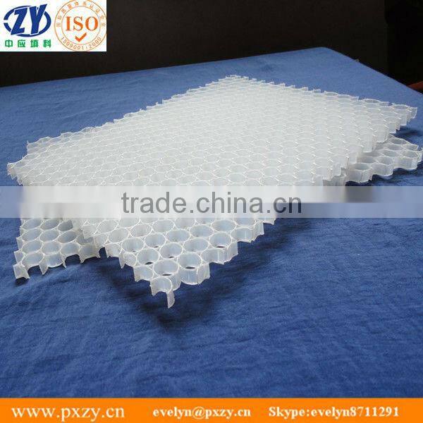 Plastic honeycomb mesh