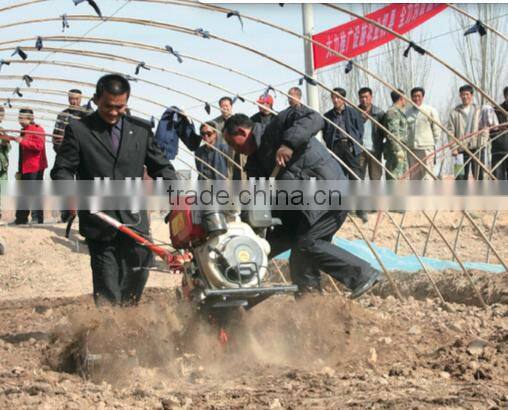 33 TG4 Multifunctional Cultivation Management Machine