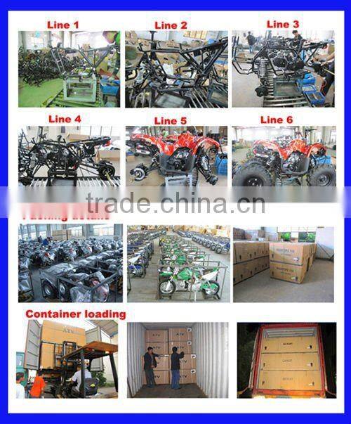 350W MINI ELECTRIC ATV FOR SALE(MC-211)