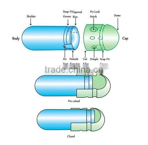 Empty Vegetable Capsule for Packing Medicine Powder and Granule Size 00