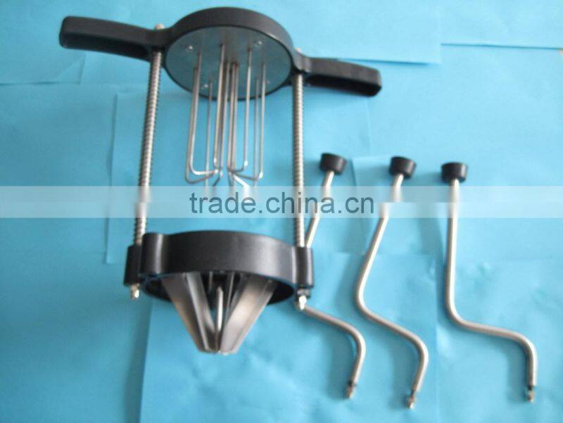 GRT - HLB8 Tomato slicer machine