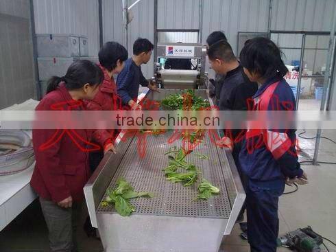 Guangxi Y. L. Vegetable Processing Factory